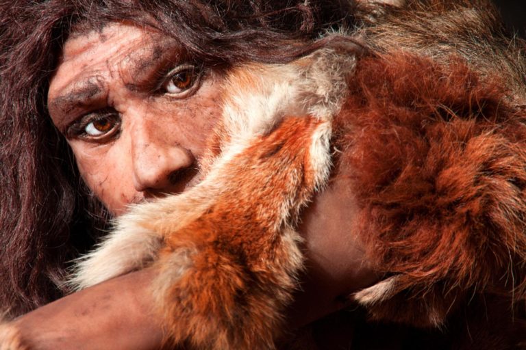 L’évolution de l’Homme par rapport aux régimes alimentaires