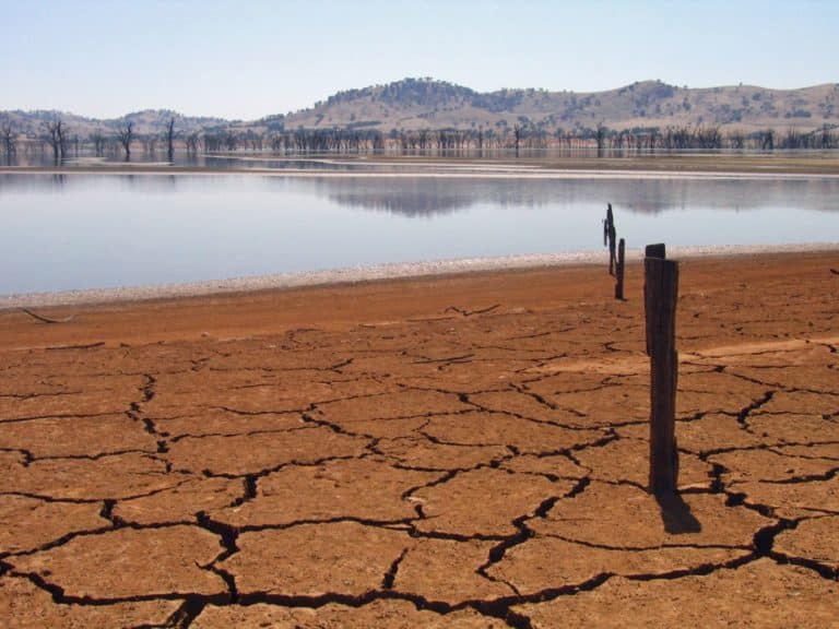 Les effets de l’alimentation par rapport aux changements climatiques