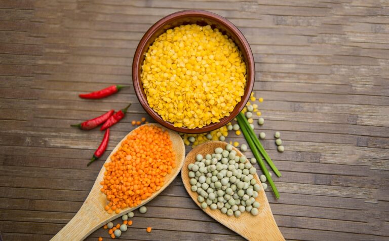 Quelles options vegan pour les repas ?