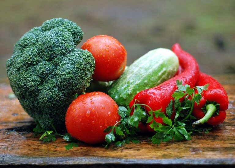 Quels sont les bienfaits d&rsquo;une alimentation végétale ?