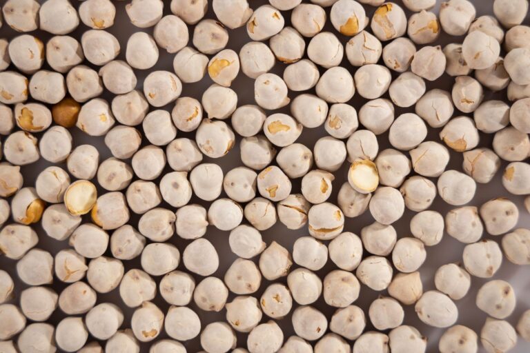 Comment adopter une alimentation végétarienne équilibrée ?