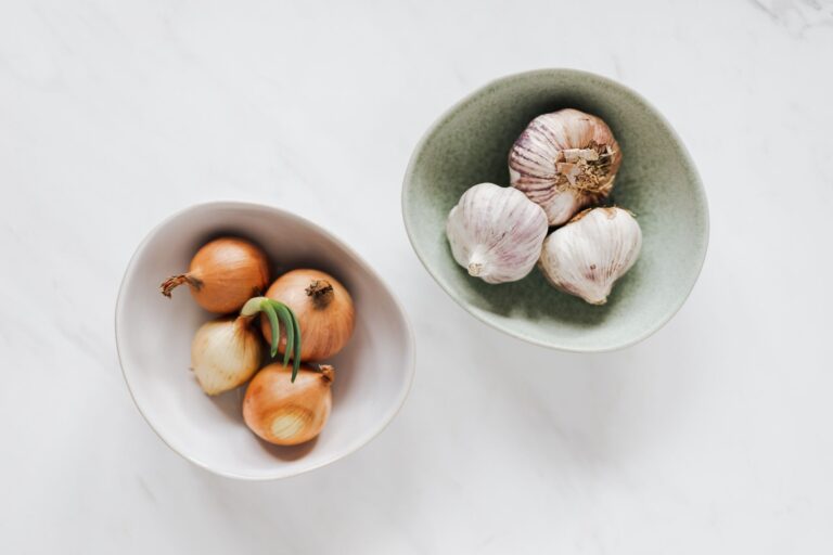 Comment réussir sa cuisine végétarienne : les astuces à connaître