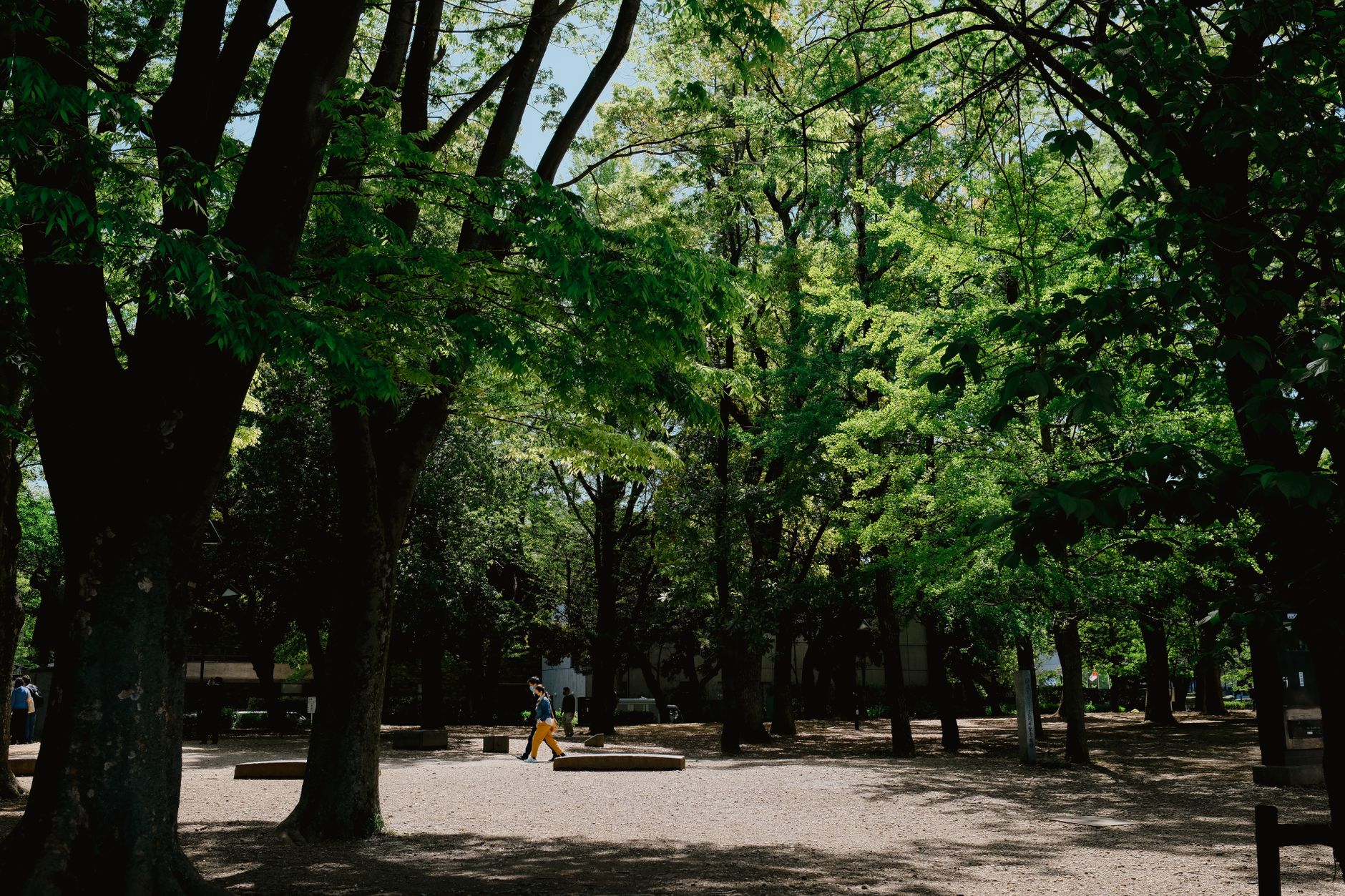 Allée de gravier dans un parc ombragé par de grands arbres feuillus, avec quelques promeneurs au loin.