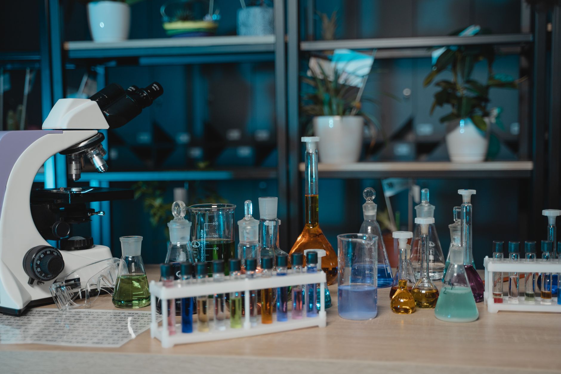 Microscope et verrerie de laboratoire remplie de liquides colorés sur une paillasse en bois, devant des étagères avec des plantes.