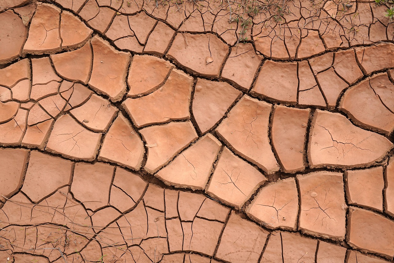 Sol argileux craquelé en plaques rouges, signe d'une terre très sèche.